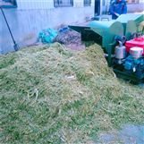 BF800玉米秸桿揉絲機 牛羊養殖飼料加工的高效專用設備