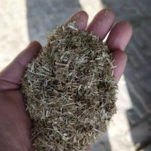 喂鵝苜蓿草粉全攻略 高蛋白東北草捆如何降本增效