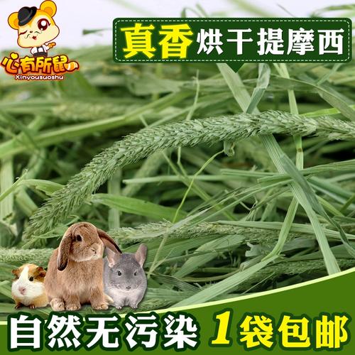 烘干提摩西草 兔子、豚鼠、荷蘭豬與龍貓的理想草糧與墊料全指南