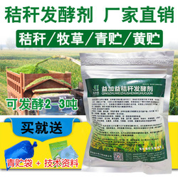 牛羊草飼料全指南 常見飼料牧草介紹與圖片下載資源
