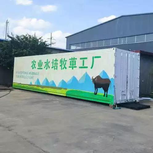 農業水培牧草工廠 水培牧草設備 養殖小麥草飼料牧草生產設備