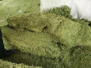【干牧草牛羊飼料牧草圖片】近期120組干牧草牛羊飼料牧草圖片合集