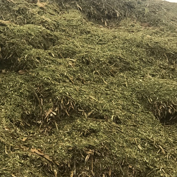 青儲草 秸稈 青貯 牛羊飼料 牧草